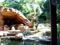 \"The Jungle Cruise\", Disneyland California \"The Jungle Cruise\", Disneyland California