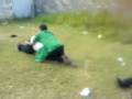 videos de JUGANDO CON EL CARBALLO