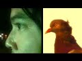 volumen cero's most recent video. shot in new york fall of 2005. directed by eduardo cure