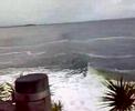 noosa2 noosa2