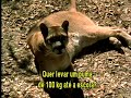 dangerous lives of altar boys  trailer 
