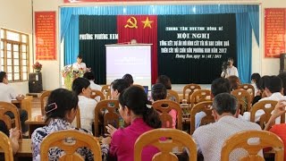 Tổng kết mô hình thử nghiệm cắt tỉa, bao chùm quả trên cây vải chín sớm Phương Nam