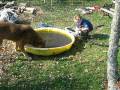 videos de Nick, Straydawg and the Tadpoles