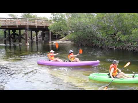 John Pennekamp Coral Reef State Park Scenes