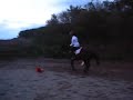 Saut de puces sur Lorenza