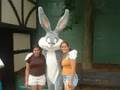 passeios no six flags