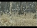 World Class Hunting and Fishing DVD Preview