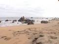 LA PLAYA