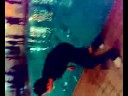 Guido pushed in the pool