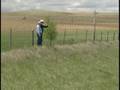 Environmental Stewardship Award VII - Hovde Ranch