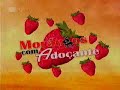 Gato Fedorento - Morangos com Adoçante