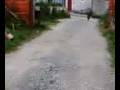 Cerchio con cabballero a maratea