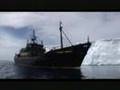 Sea Shepherd Conservation Society :: Operation Migaloo - 2007/08 - Sea Shepherd Whale Defense