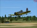 FSX Piglet\