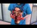 Autopsy Chest Makeup