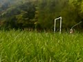 09-03-07_grassSoccerGoal 09-03-07_grassSoccerGoal