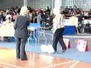 Sillamäe CAC dogshow, pekingese ring 19.04.2008 Sillamäe CAC dogshow, pekingese ring 19.04.2008