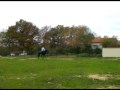 Dressage avec et sans chien ;o)
