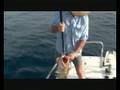 Unreal Reef Fishing the Great Barrier Reef, Mackay!!