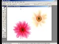 Photoshop Dersleri - Auto Color