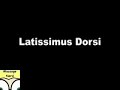Latissimus Dorsi Trigger Points