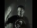 Taas punab pihlakaid Taas punab pihlakaid