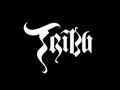 TRIBU wins award in Paris Cinema Festival 2008!!!