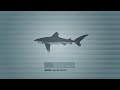Ocean Observations Biodiversity Video Ocean Observations Biodiversity Video