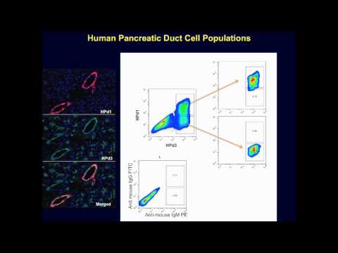 how to isolate beta cells