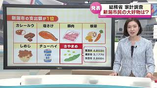 【解説】家計調査　ラーメンは2位の新潟市ですが…支出額全国１位はこんなにあります！