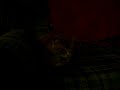 MY DAMN CAT WONT CUDDLE WITH ME! MY DAMN CAT WONT CUDDLE WITH ME!