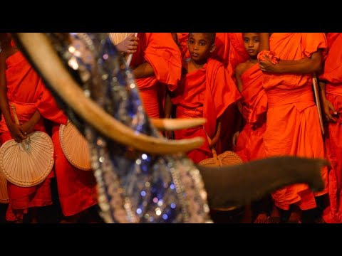 Sri Lanka: Buddhistischer Festzug Nawam Maha Perahera