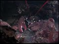 Diving Zeeland Het Gemaal Van Dreischor