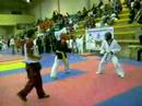 academia el tigre