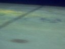 2008 JGP Belrus gala finale