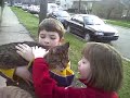 Cat by Our Car