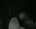 steph-highland-dandi-ugo-madame-butterfly-part5-end-.html