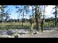 riding quads near arenal volcano