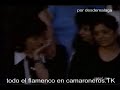 entierro de camaron en los telediarios