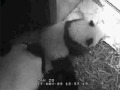 2009 11 17 Presenting Yun Zi ~ Son of Cloud