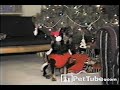 Caroling Dog Caroling Dog