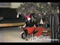 Caroling Dog