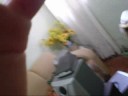 Caixa de Som de Nevez Caixa de Som de Nevez