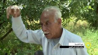 تقرير - قرية الغابسية ، معالم شاهدة على التهجير  - اصالة زريقي - صباحنا غير- 4-5-2017 - مساواة