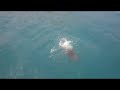 A Sea Lion Has Other Ideas About Catch and Release