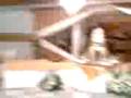 videos de Matri tia d pier