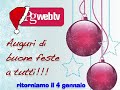 Buone feste dalla redazione