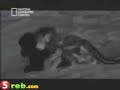 watch this ��� ���� ���� �� ���� ����� ������