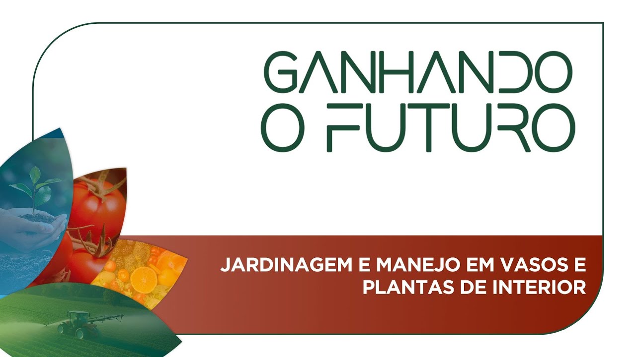 Jardinagem e manejo em vasos e plantas de interior
