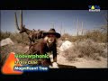 Hooverphonic - Jackie Cane
